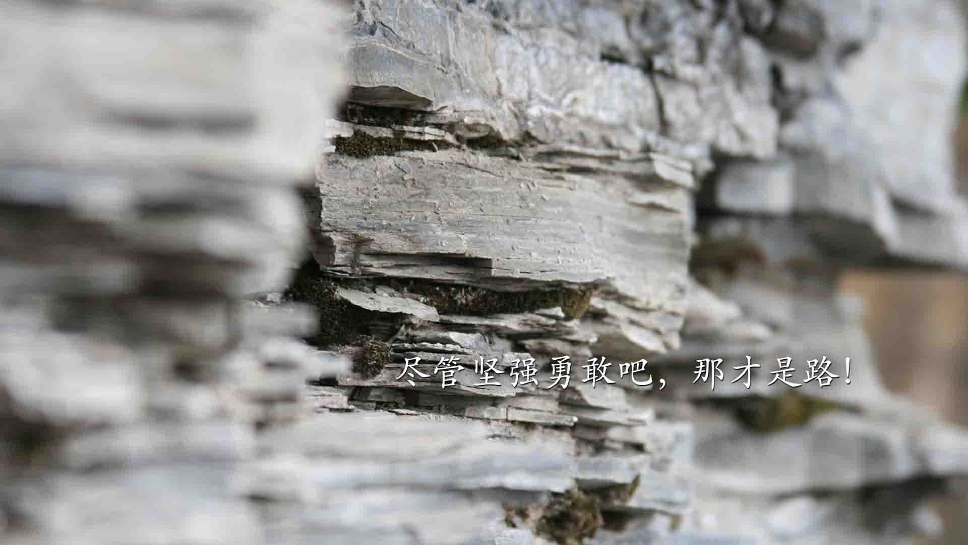 王者荣耀赛事中的观众互动：如何提升观赛体验，王者比赛怎么设置 观众席