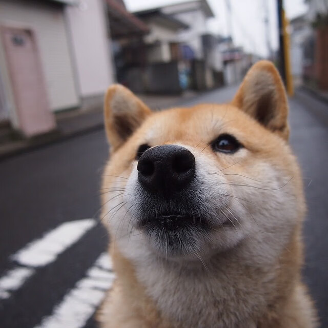 FaZe关注英雄联盟全球赛事发展,英雄联盟全球总决赛发布会