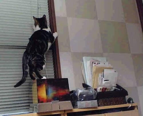 爱游戏-EDG新人选手表现抢眼，edg战队队员首发