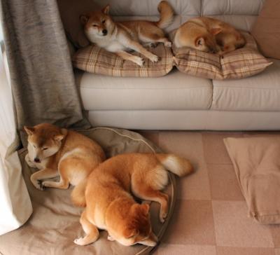 爱游戏官网首页-摩洛哥队队长呼吁球队团结一致，摩洛哥国家队球员名单