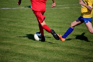 爱游戏内容中心-世界青少年自行车赛中国骑手再创佳绩，2020全国青少年自行车锦标赛