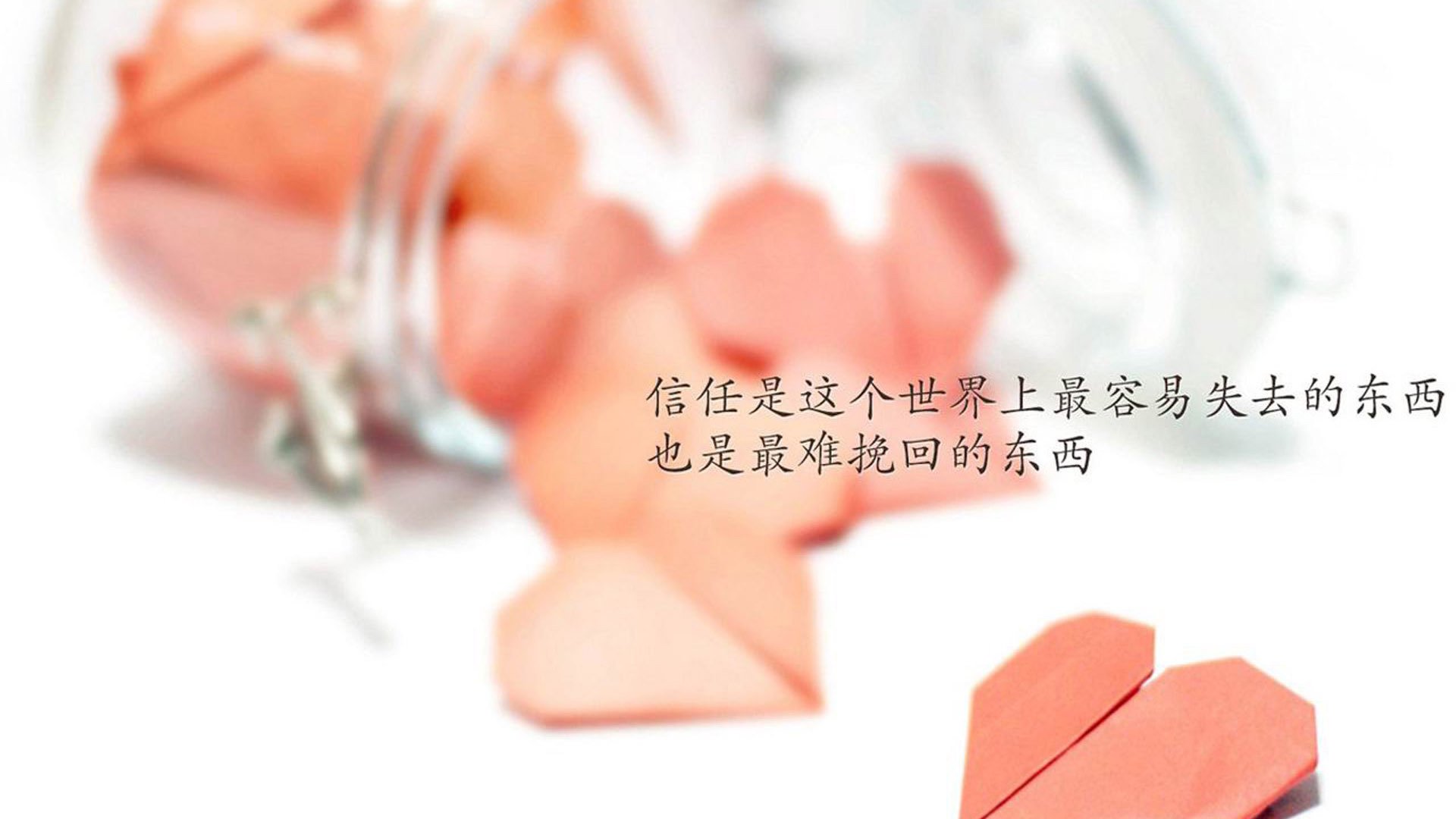 国足球队精神面貌表现观察，足球精神品质