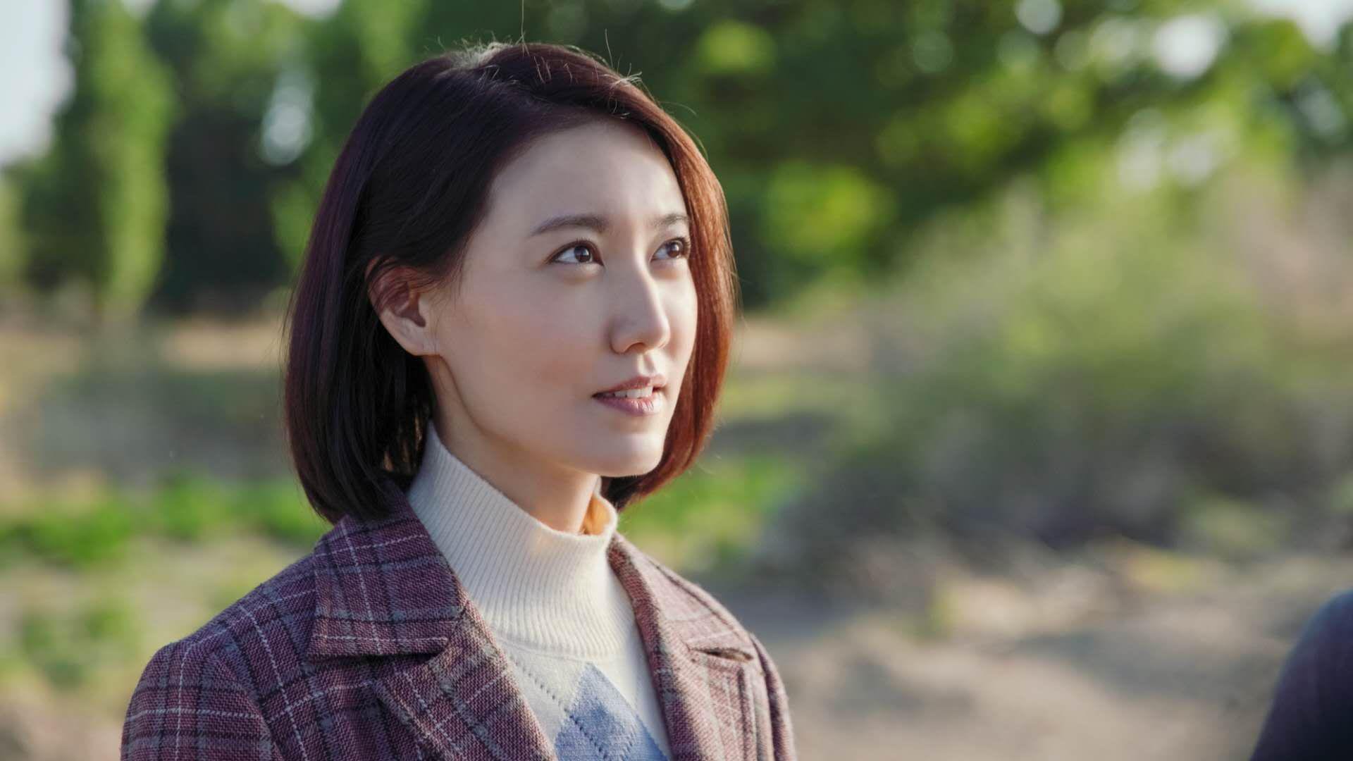 法甲球队通过视频情境语义理解提升战术执行一致性，法甲集锦