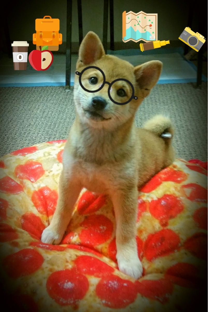 中国三人男篮攻防一体 表现渐入佳境,中国男子三人篮球队