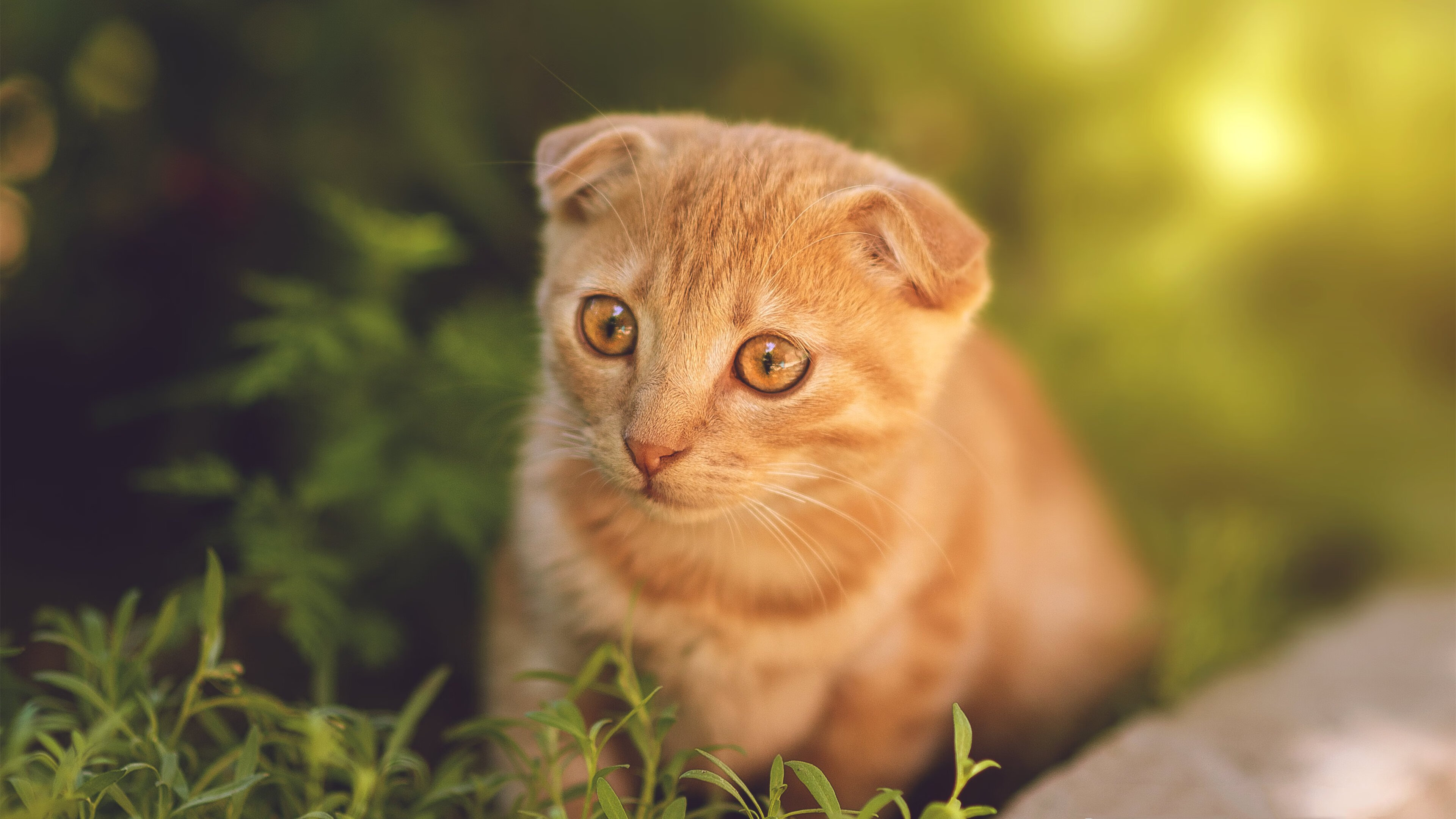 爱游戏-乒乓球赛事赛制调整，更加注重观众互动，乒乓球赛制安排